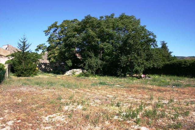 close to Gordes, nice buildable plot of about 1000 square meters with a south exposure